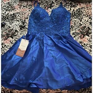 Royal Blue Dress